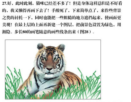 PS手绘草丛中的老虎插画(24)