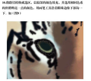 PS手绘草丛中的老虎插画(7)