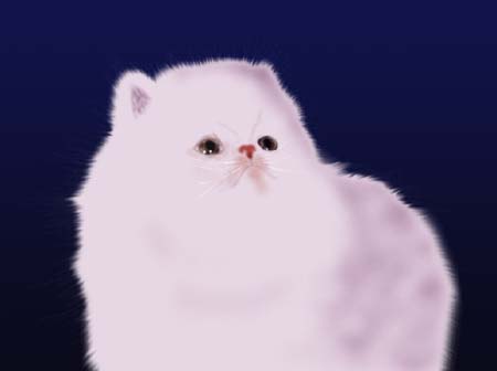 Photoshop鼠绘白色小猫教程(7)