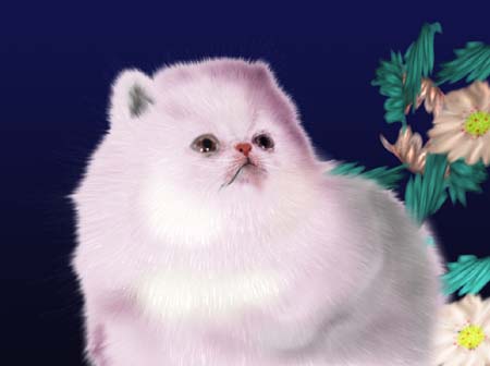 Photoshop鼠绘白色小猫教程(9)
