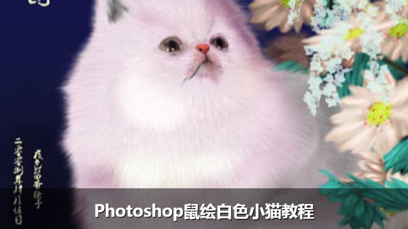 Photoshop鼠绘白色小猫教程