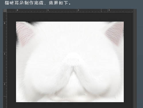 PS鼠绘神态憨厚的小白猫头像(12)