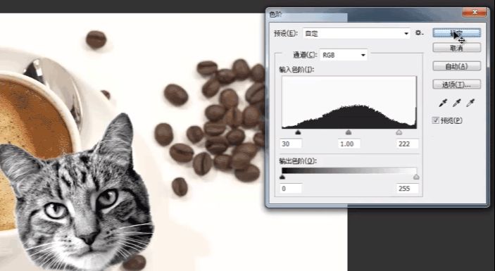 PS合成猫咪拉花图案的咖啡(11)
