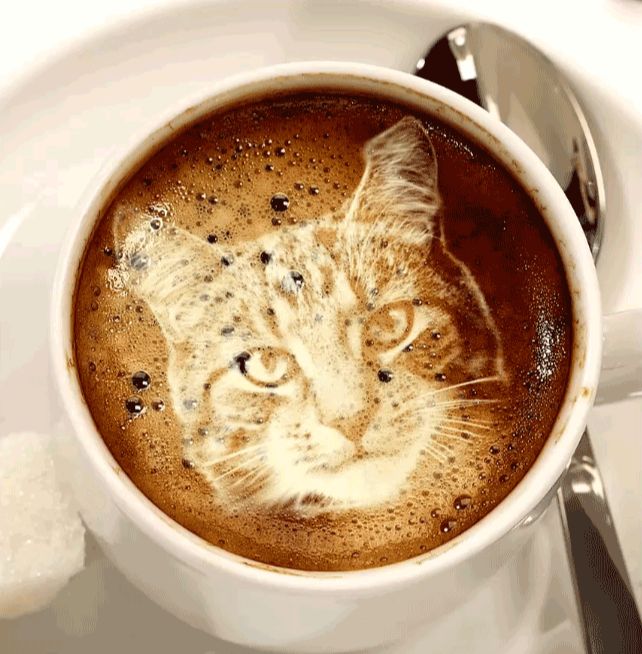 PS合成猫咪拉花图案的咖啡(26)