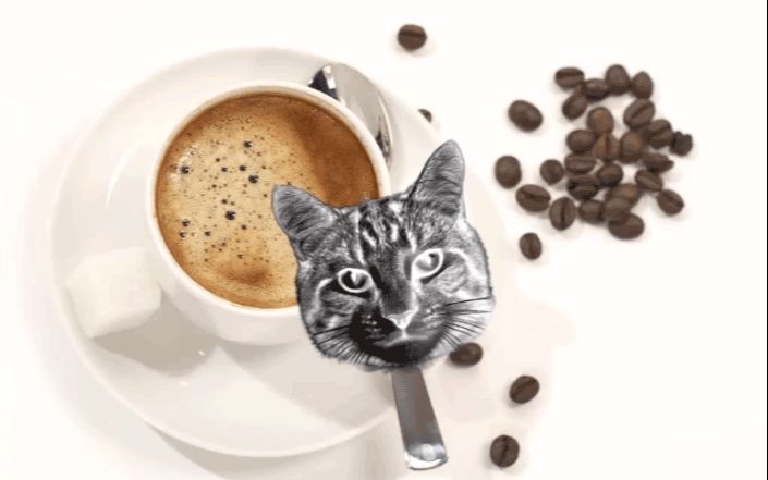 PS合成猫咪拉花图案的咖啡(12)