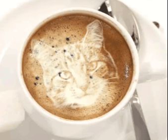PS合成猫咪拉花图案的咖啡(23)