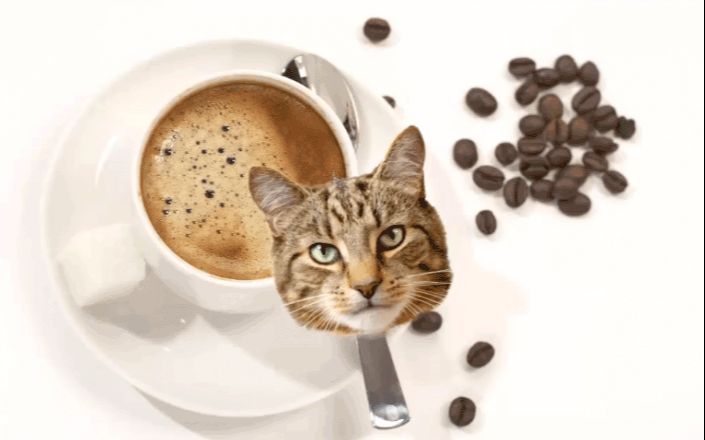 PS合成猫咪拉花图案的咖啡(9)