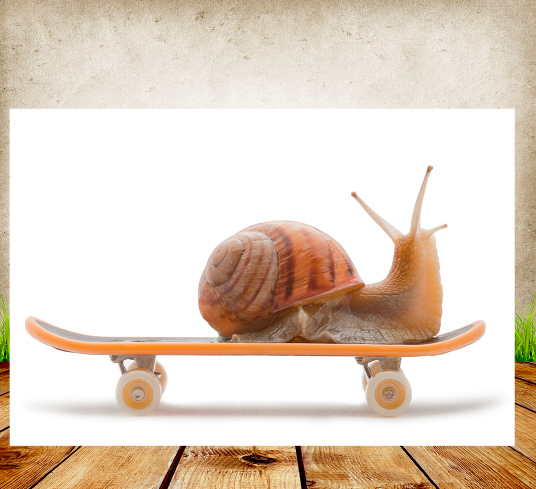 ps用图层蒙版抠出在滑板上的蜗牛(1)