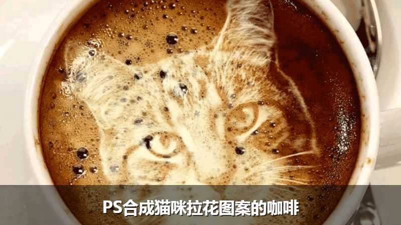 PS合成猫咪拉花图案的咖啡