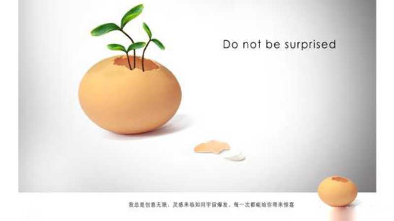 PS创意合成蛋壳里的植物食品安全宣传海报