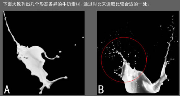PS合成诱人牛奶花朵效果海报(16)