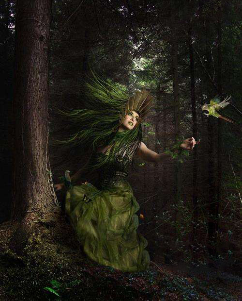 PS合成森林中的梦幻精灵族美女