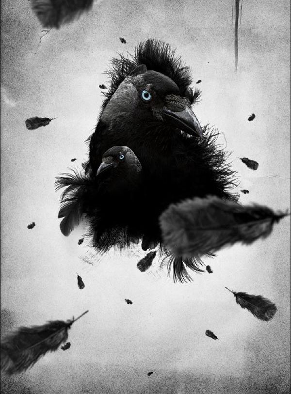 photoshop制作乌鸦羽毛黑白单色插图(19)