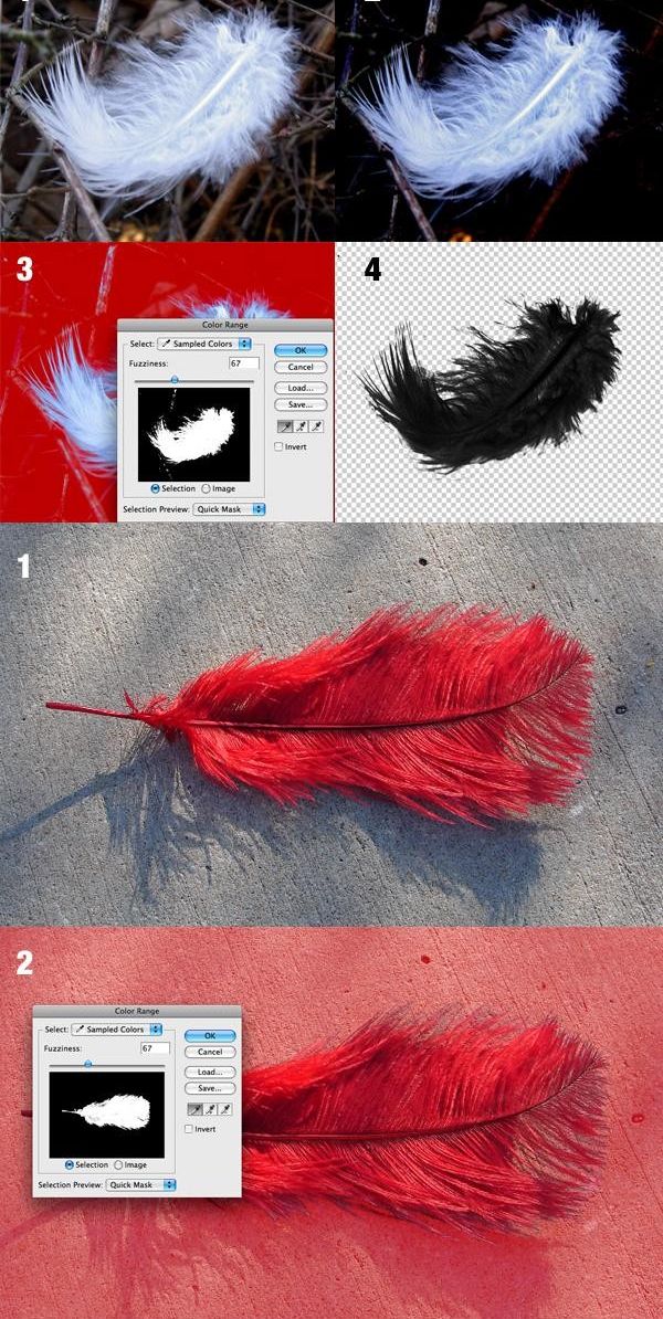 photoshop制作乌鸦羽毛黑白单色插图(20)