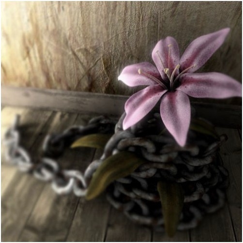 3DSMAX渲染被铁链束缚的花朵