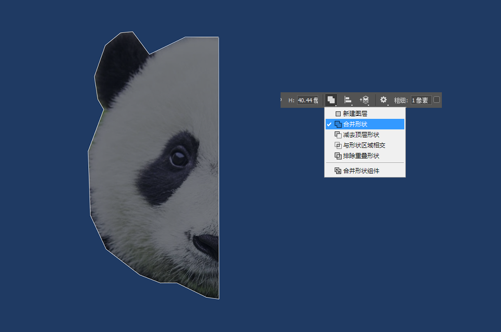 PS绘制低多边形星空熊猫头像(2)