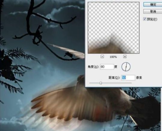 Photoshop照片合成教程:黑夜中飞翔的鸽子(15)