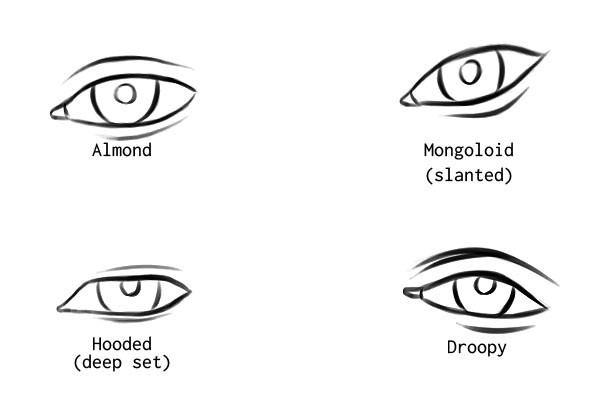 PS鼠绘写实眼睛教程  (2)