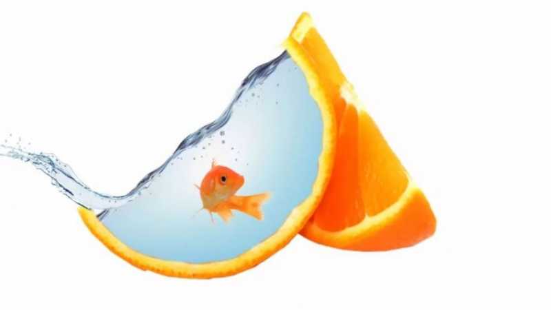 PS合成一款橙子鱼缸