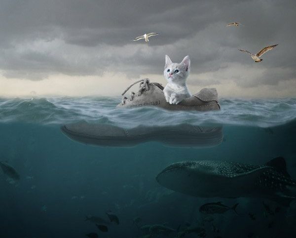 ps合成小猫漂流在海上的场景(33)