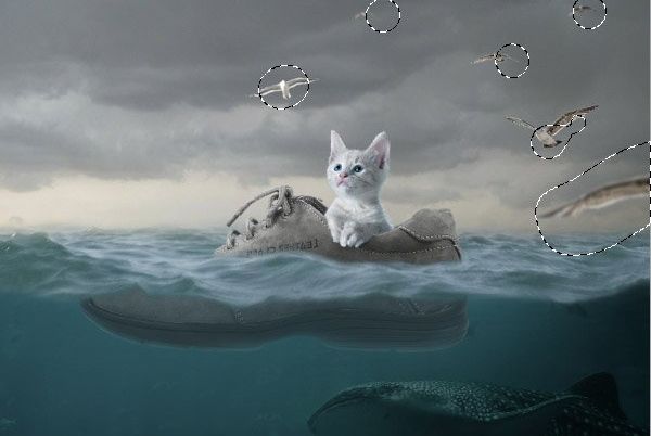 ps合成小猫漂流在海上的场景(38)