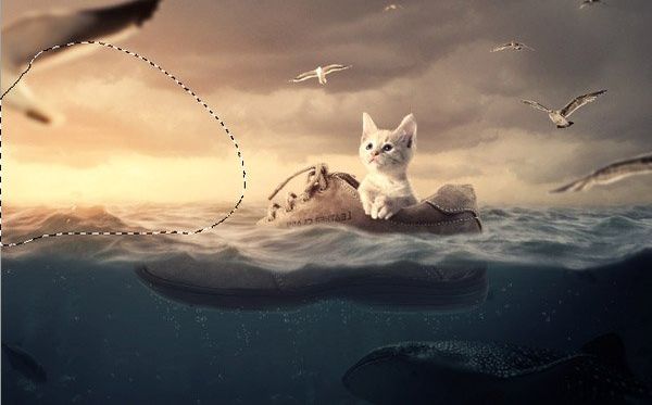 ps合成小猫漂流在海上的场景(52)
