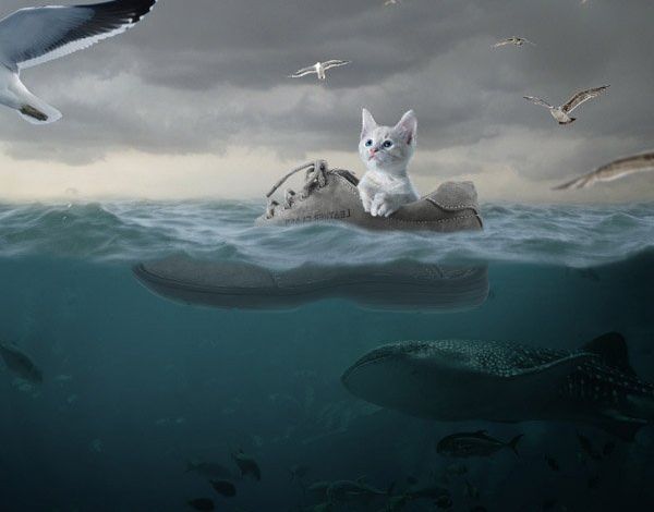 ps合成小猫漂流在海上的场景(39)