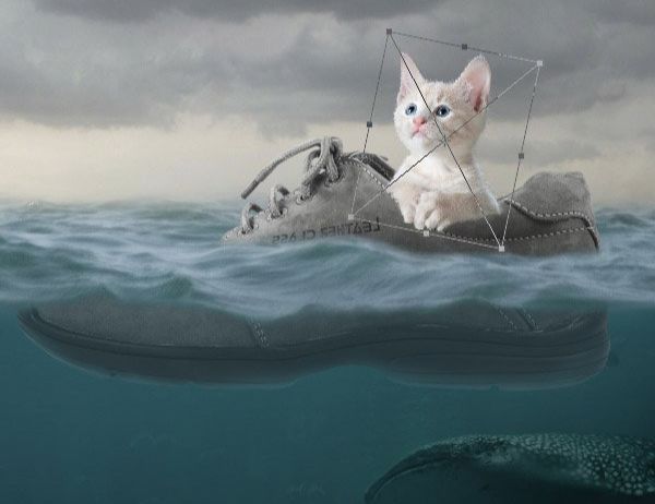 ps合成小猫漂流在海上的场景(27)