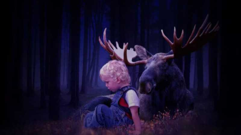 ps制作森林里的小男孩和小鹿