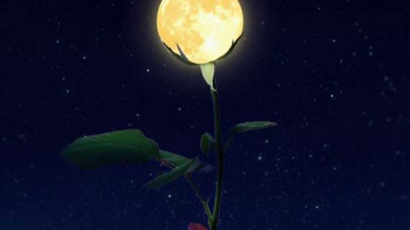 ps创意合成一朵月亮玫瑰花
