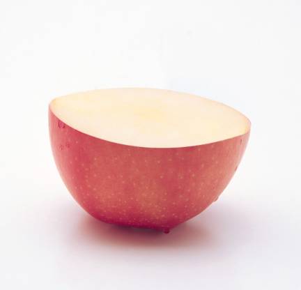 PS合成苹果里种苹果树的趣味照片(9)