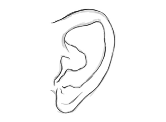 PS绘制写实耳朵(3)