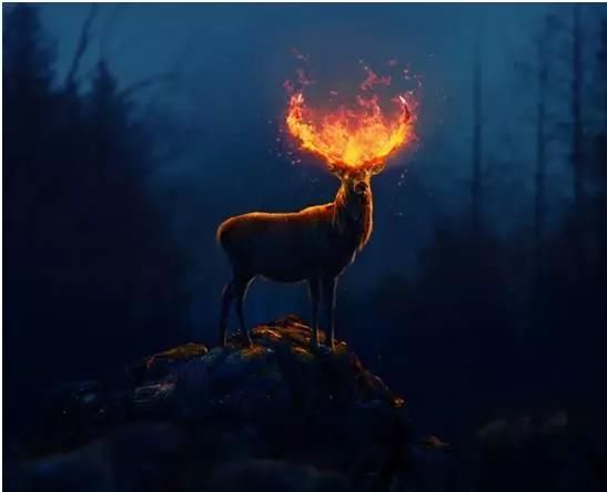 ps合成头上着火的火炎鹿
