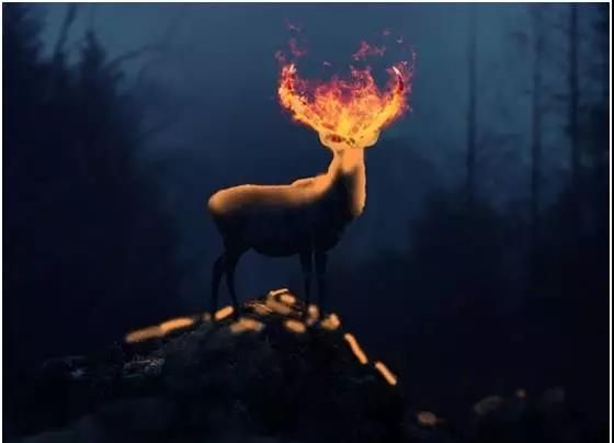 ps合成头上着火的火炎鹿(48)