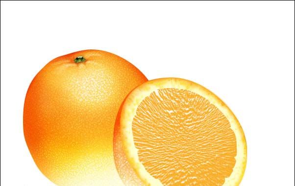 PS绘制鲜美的橙子(30)