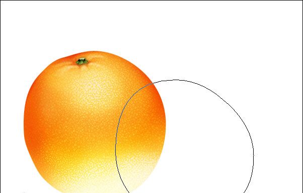 PS绘制鲜美的橙子(14)