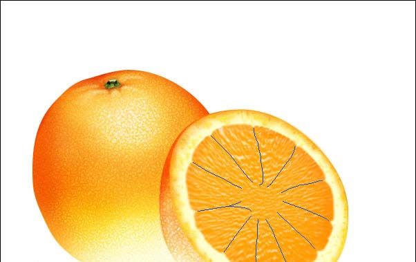 PS绘制鲜美的橙子(32)