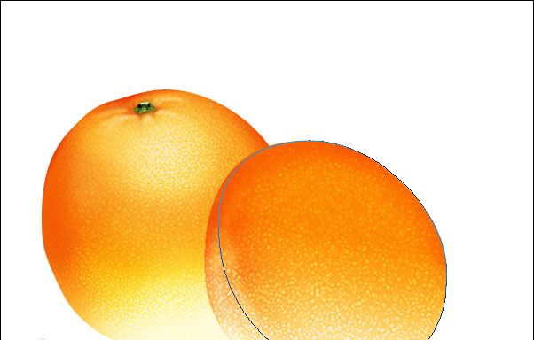 PS绘制鲜美的橙子(17)