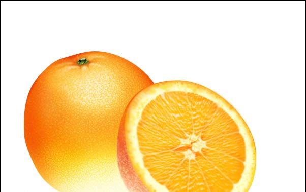 PS绘制鲜美的橙子(38)