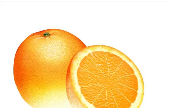 PS绘制鲜美的橙子(33)