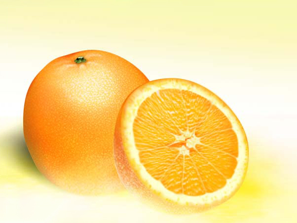 PS绘制鲜美的橙子