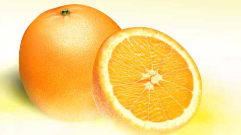PS绘制鲜美的橙子