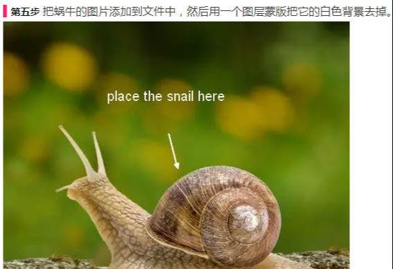 ps合成背上长草的蜗牛图片(10)