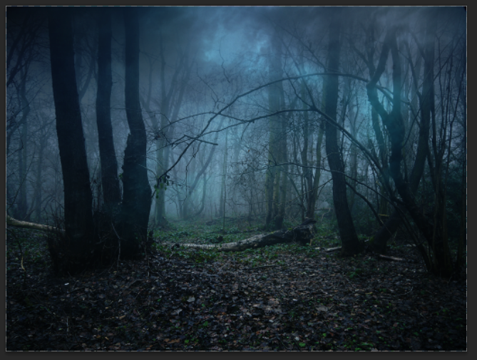 ps合成一个黑暗系的森林场景(14)