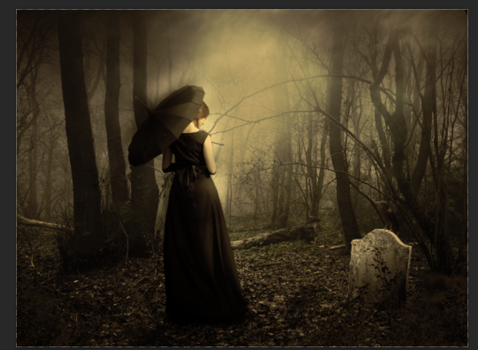 ps合成在黑暗森林漫步的黑衣女人(47)