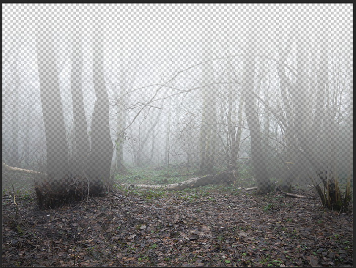 ps合成一个黑暗系的森林场景(2)