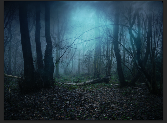 ps合成一个黑暗系的森林场景(16)