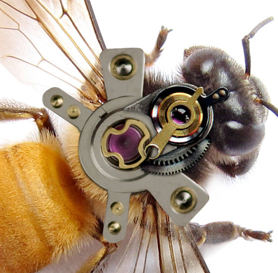 ps合成一只机械蜜蜂教程(4)