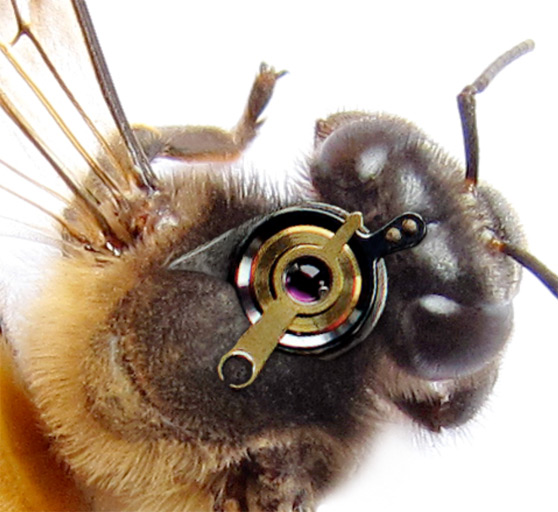 ps合成一只机械蜜蜂教程(3)