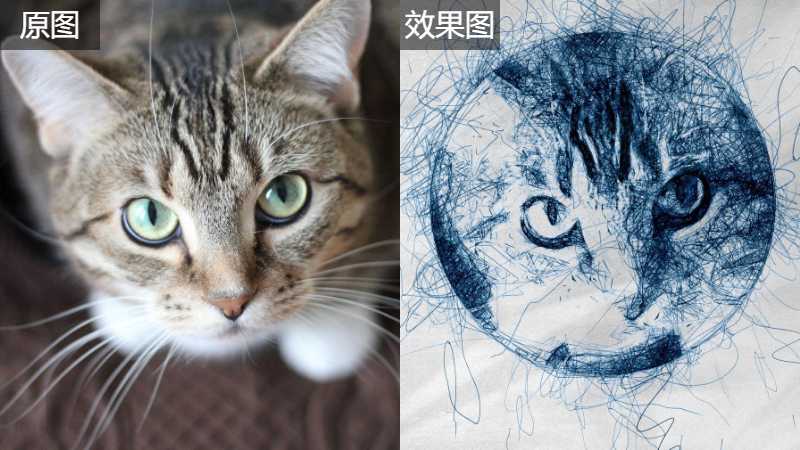 ps把猫咪头像转化成手绘教程